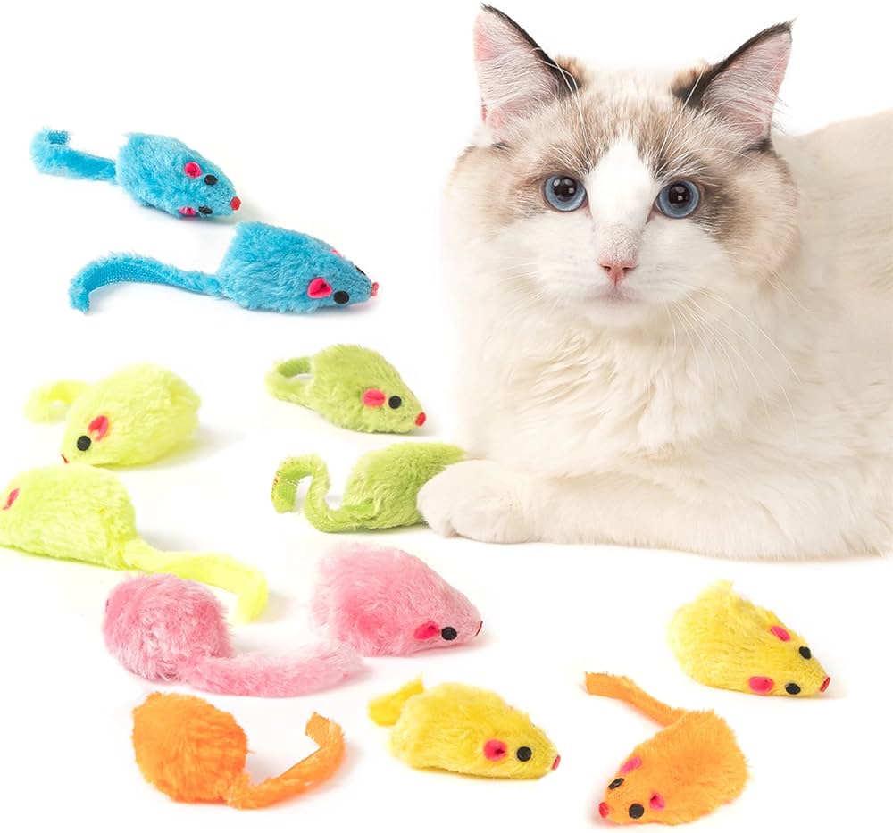 fluffy white cat lying down among mouse toys